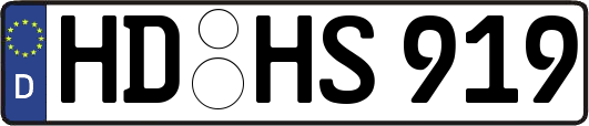 HD-HS919