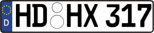 HD-HX317