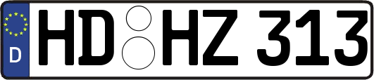 HD-HZ313