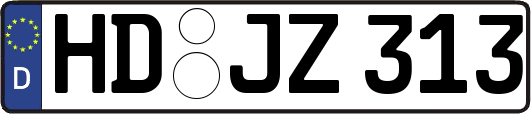 HD-JZ313