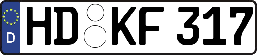 HD-KF317