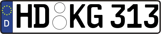 HD-KG313