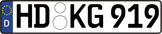 HD-KG919