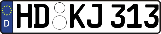 HD-KJ313