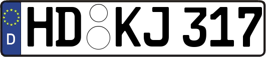 HD-KJ317