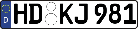 HD-KJ981