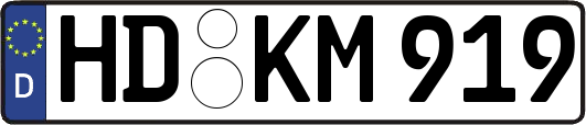 HD-KM919