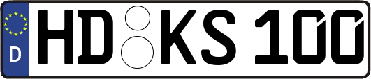 HD-KS100