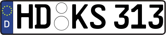 HD-KS313