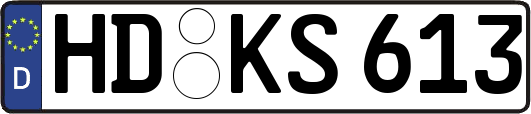 HD-KS613