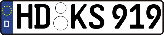 HD-KS919