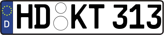 HD-KT313