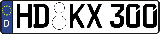 HD-KX300