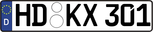 HD-KX301