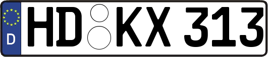 HD-KX313