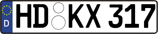 HD-KX317