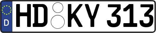 HD-KY313