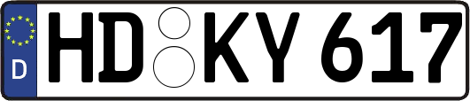 HD-KY617