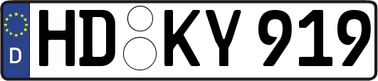 HD-KY919