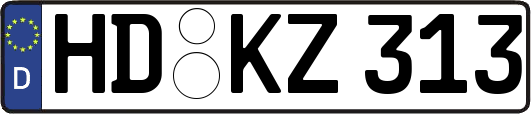 HD-KZ313