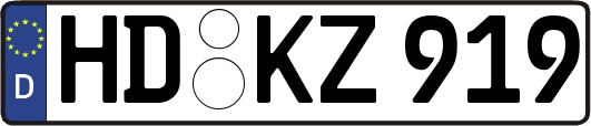 HD-KZ919