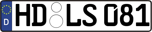 HD-LS081