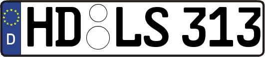 HD-LS313