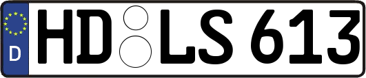 HD-LS613