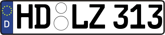 HD-LZ313