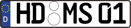 HD-MS01