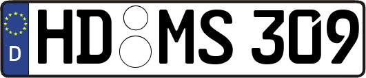 HD-MS309