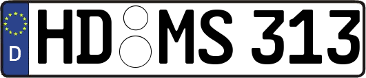 HD-MS313