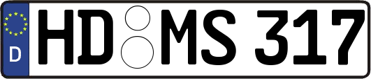 HD-MS317
