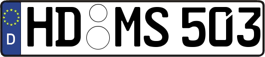 HD-MS503