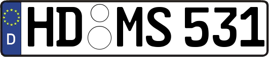 HD-MS531