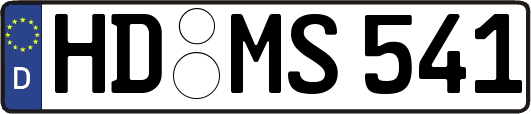 HD-MS541