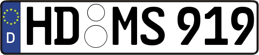HD-MS919