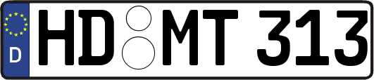 HD-MT313