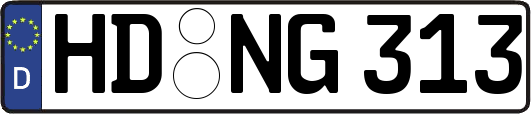 HD-NG313