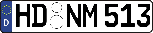 HD-NM513