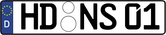 HD-NS01