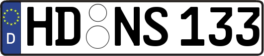 HD-NS133