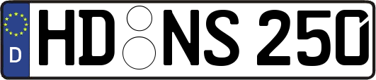 HD-NS250