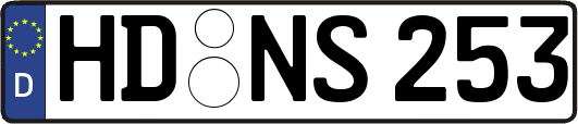 HD-NS253