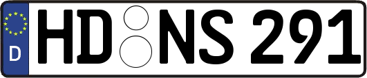 HD-NS291