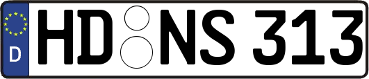 HD-NS313