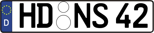 HD-NS42