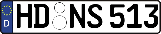 HD-NS513