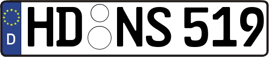 HD-NS519