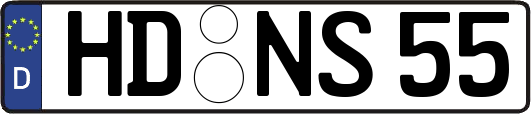 HD-NS55